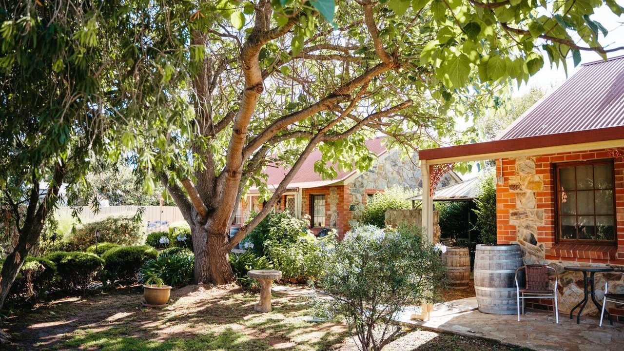 Photo of Outdoor in Tanunda