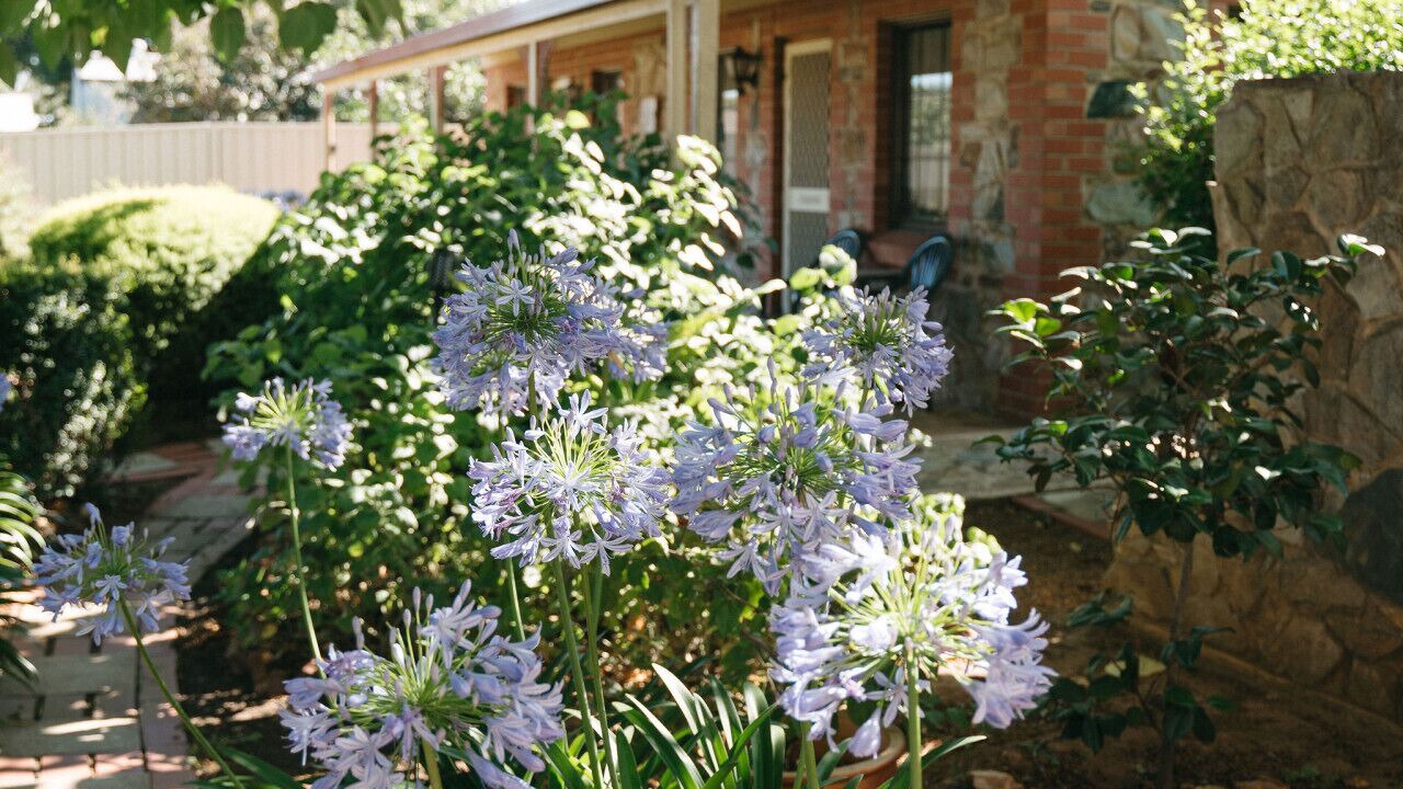 Photo of Outdoor in Tanunda