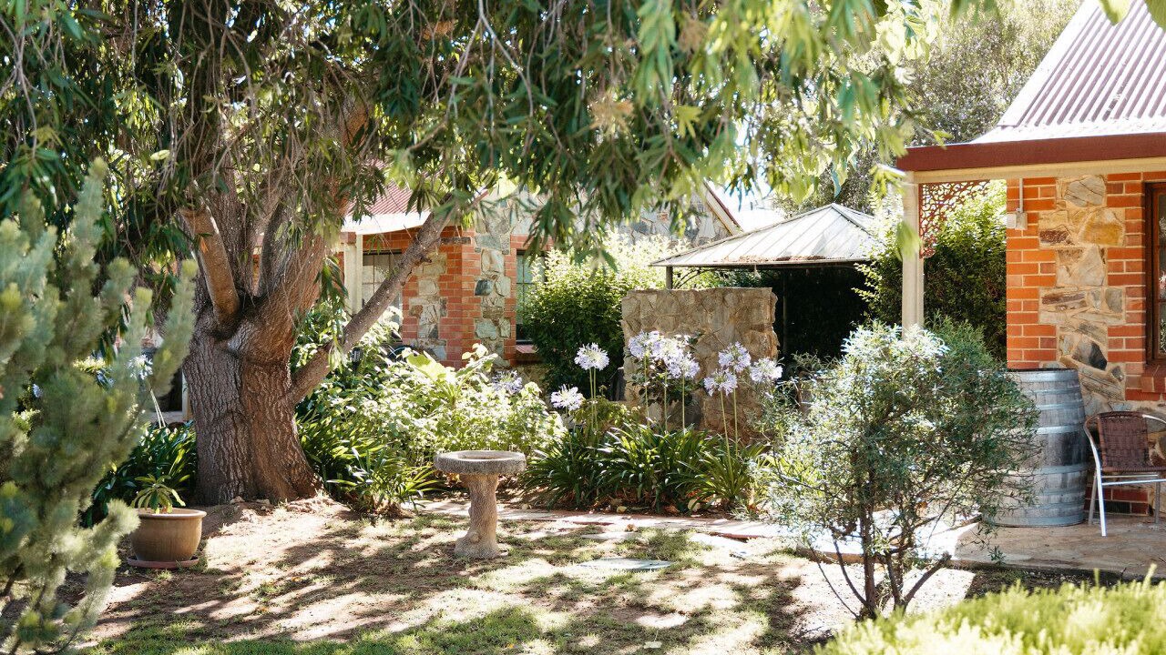 Photo of Outdoor in Tanunda