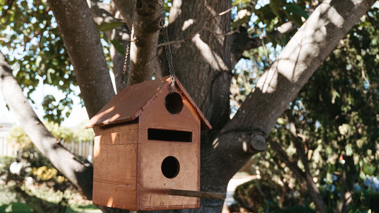 Photo of Outdoor in Tanunda