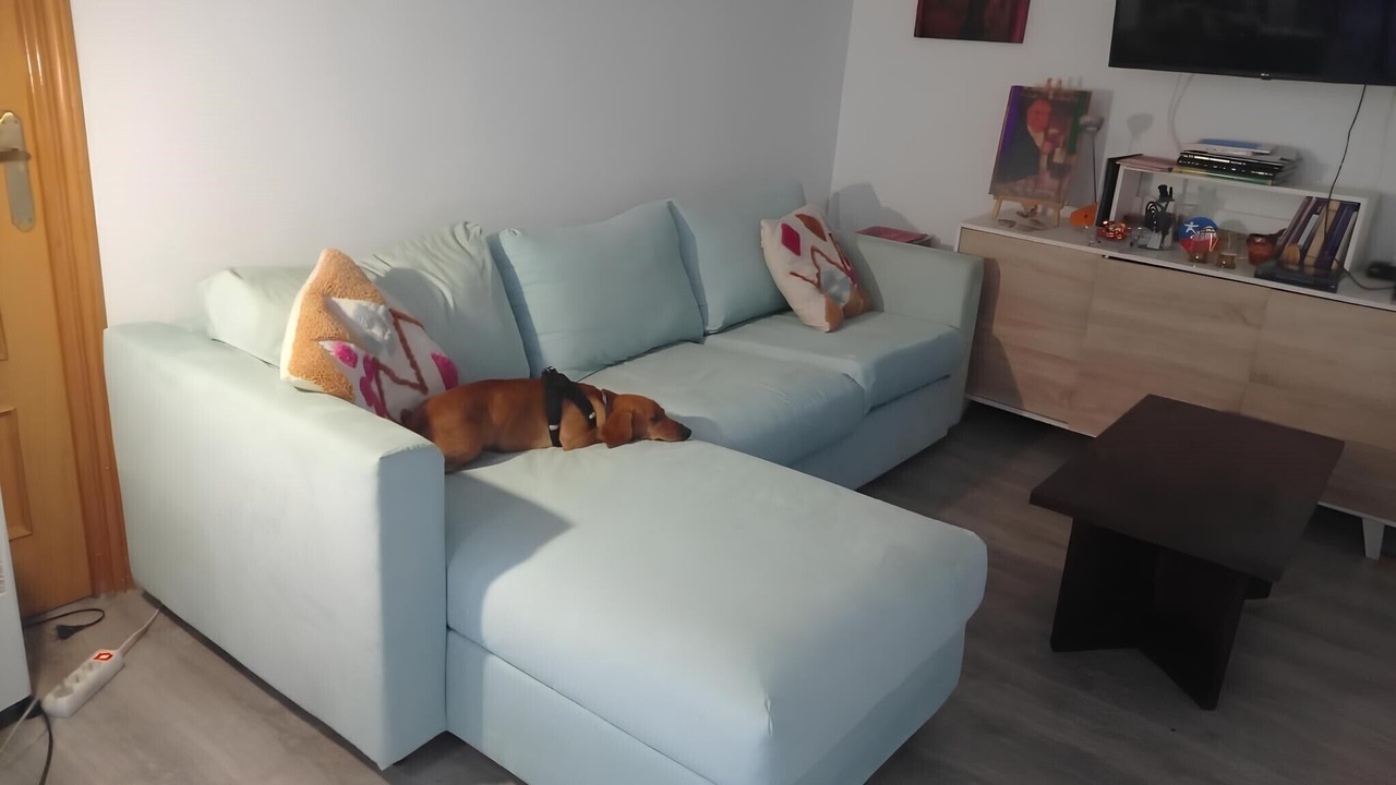 Photo of Livingroom in La Magdalena