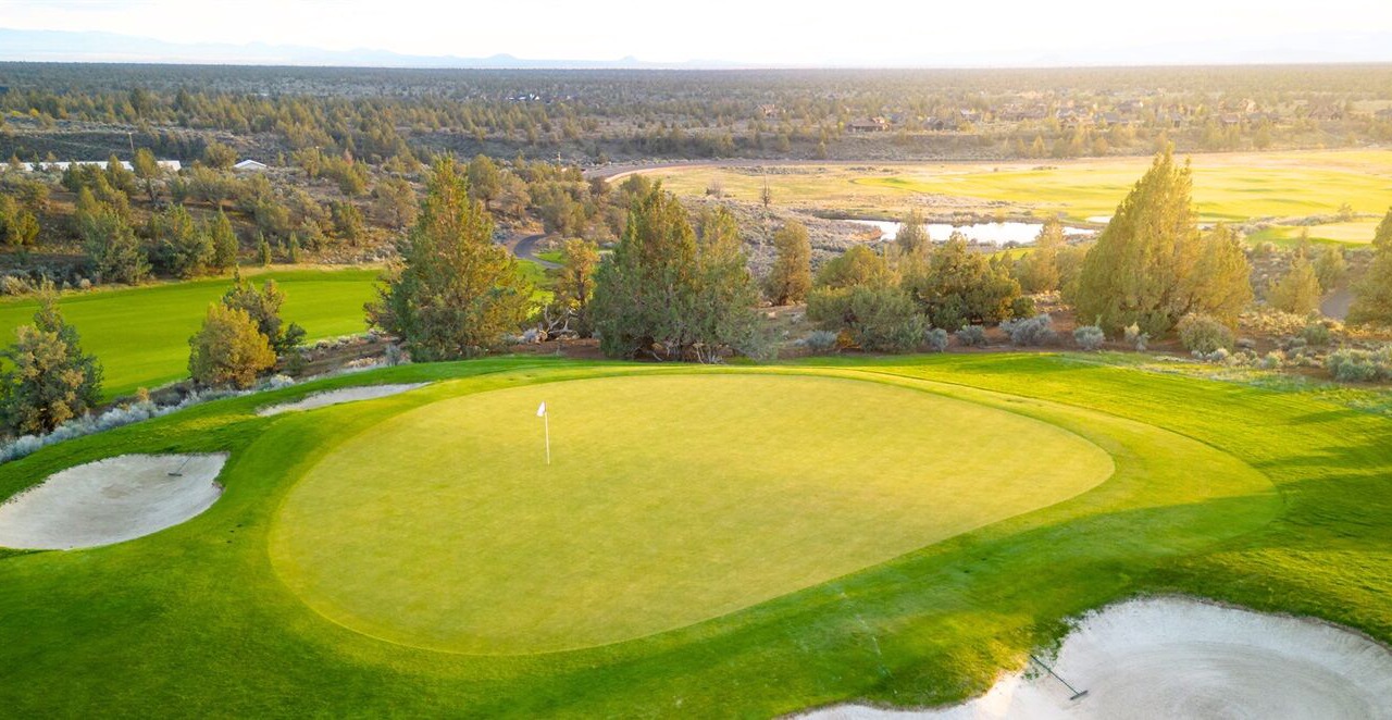 Photo of Others in Alfalfa