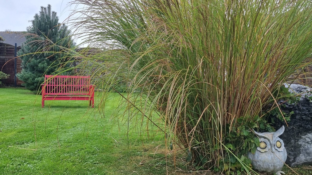 Photo of Outdoor in Maurepas
