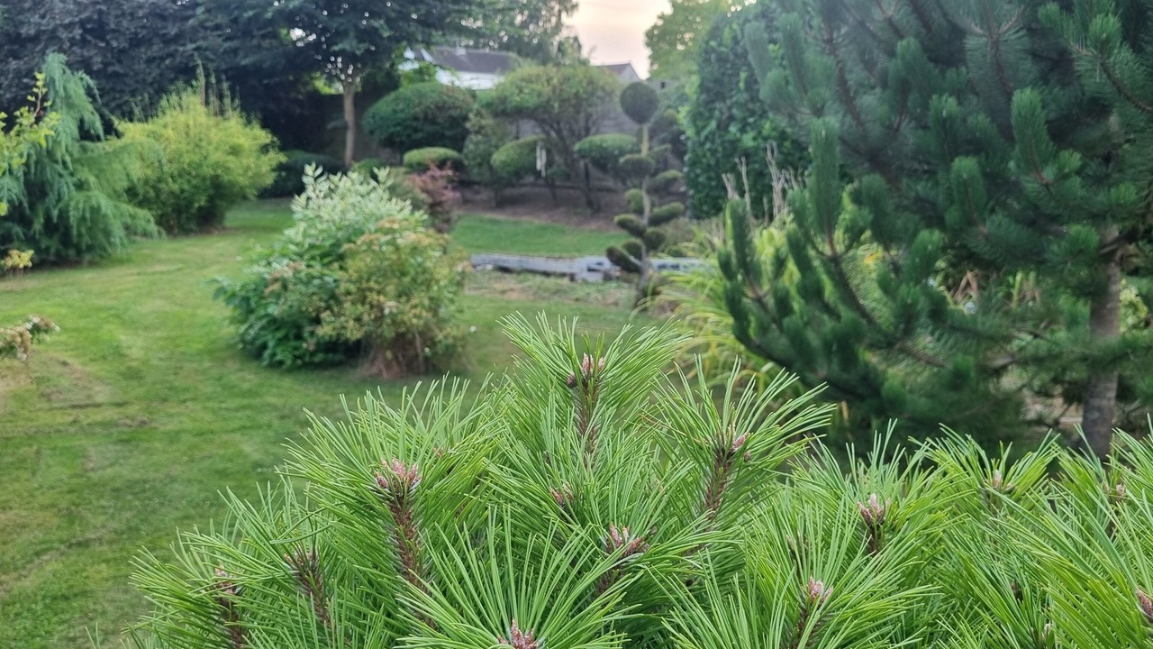 Photo of Outdoor in Maurepas