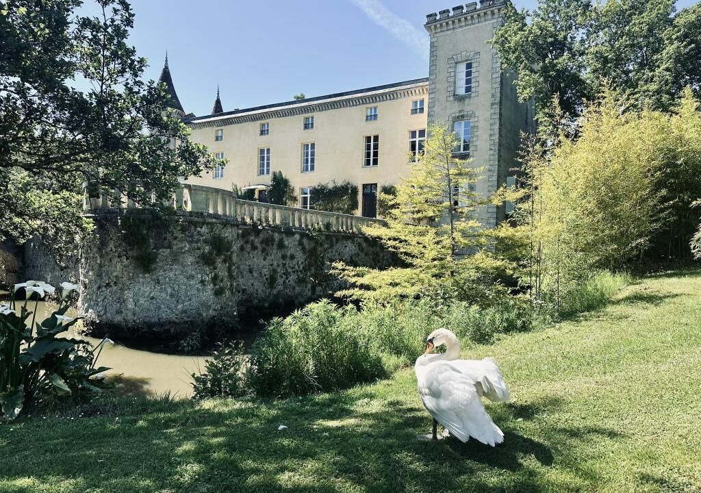 Photo of Outdoor in Saint-Sulpice-et-Cameyrac