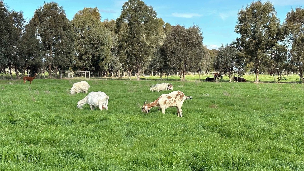 Photo of Others in Carag Carag