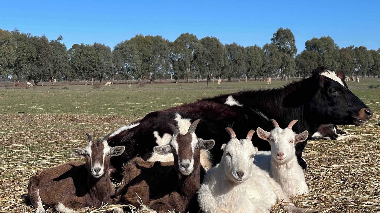 Photo of Others in Carag Carag