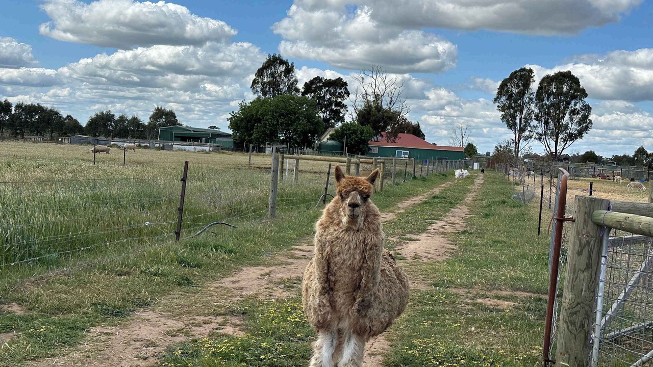 Photo of Others in Carag Carag