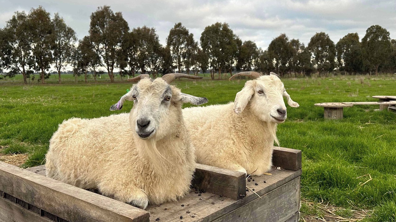 Photo of Others in Carag Carag