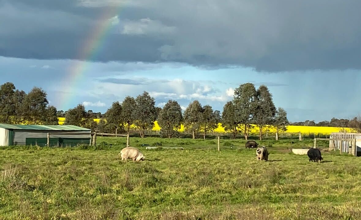 Photo of Others in Carag Carag