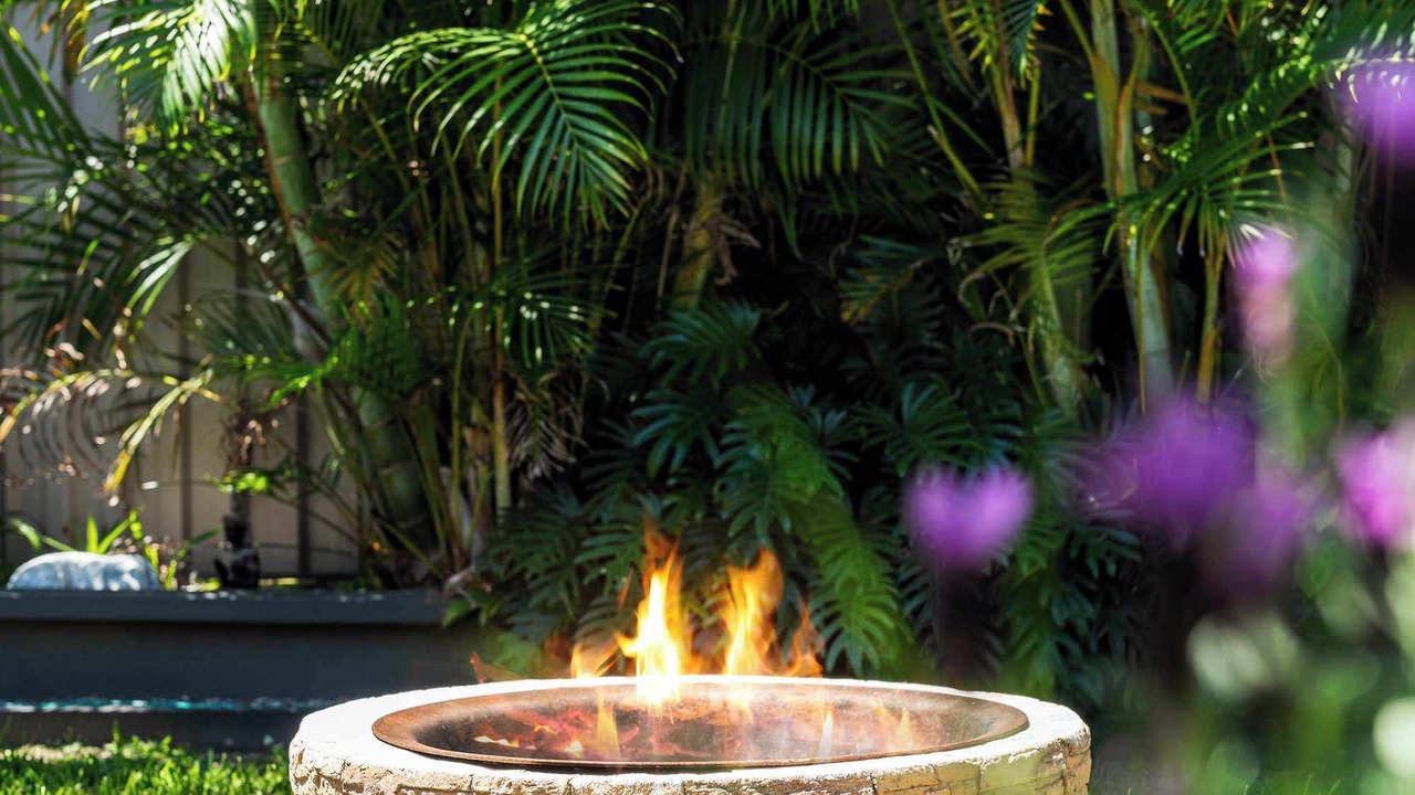 Photo of Others in Budgewoi