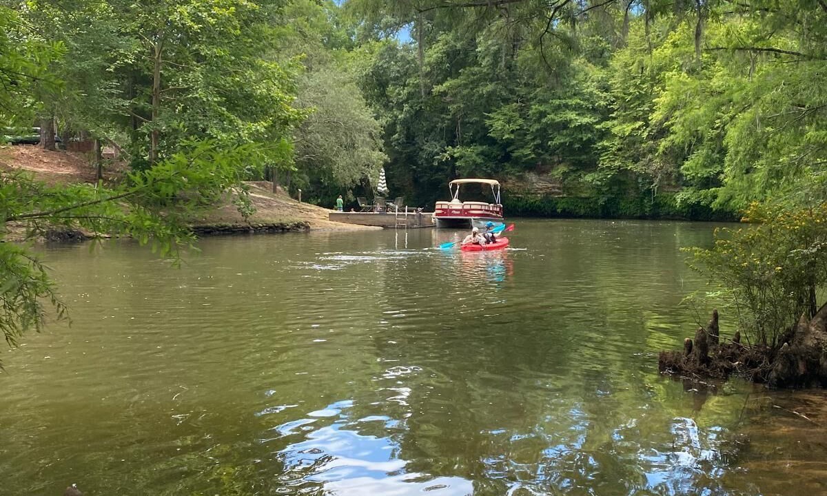 Photo of Others in Albany
