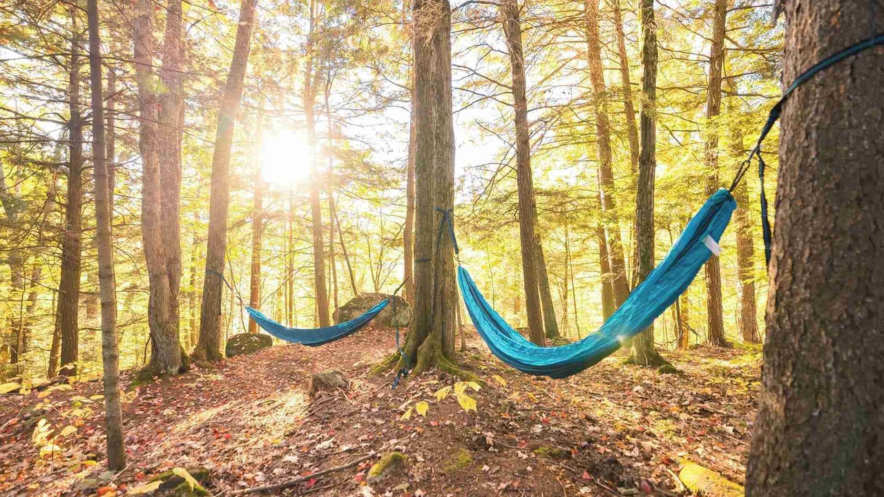 Photo of Outdoor in Pointe-au-Chene