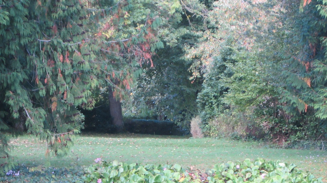 Photo of Outdoor in Villons-les-Buissons