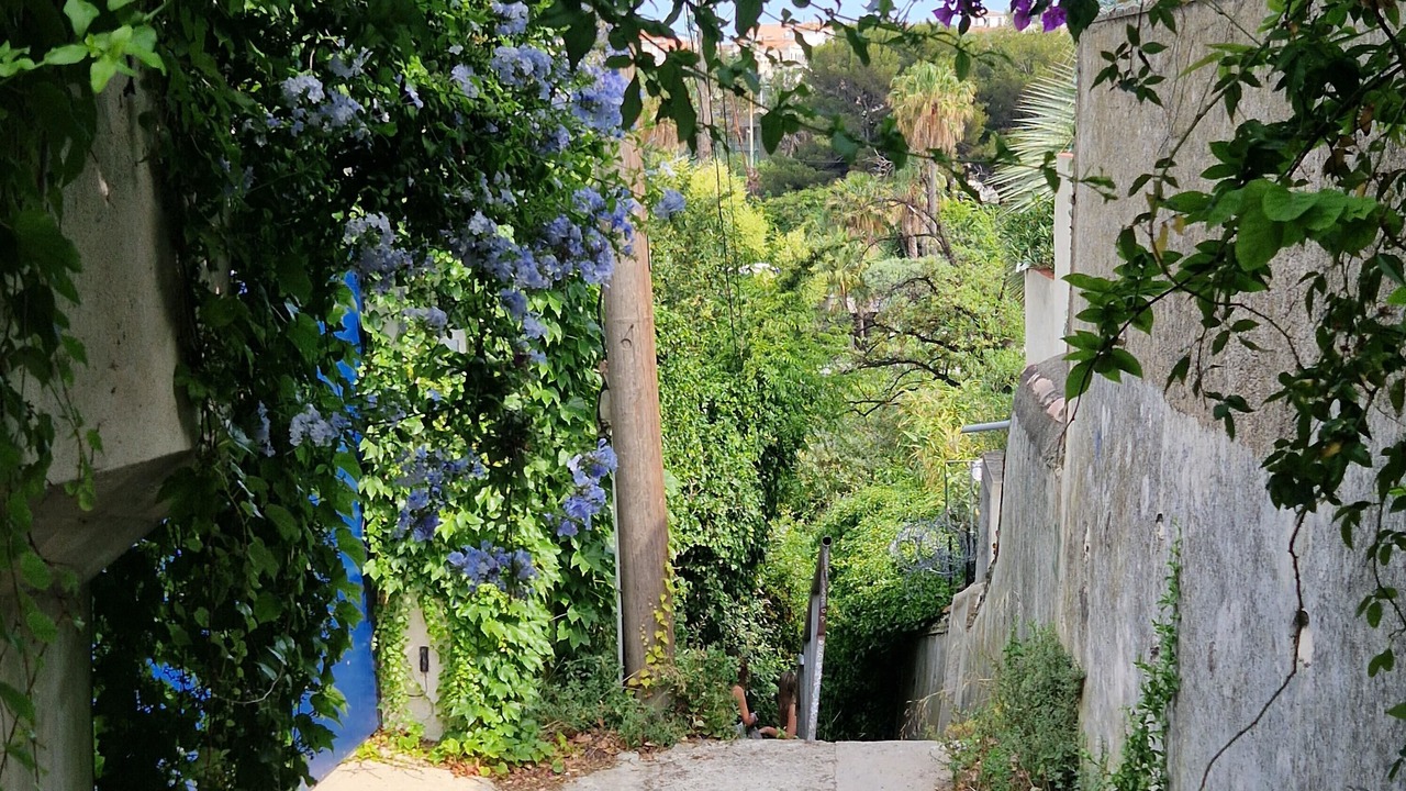 Photo of Outdoor in Endoume