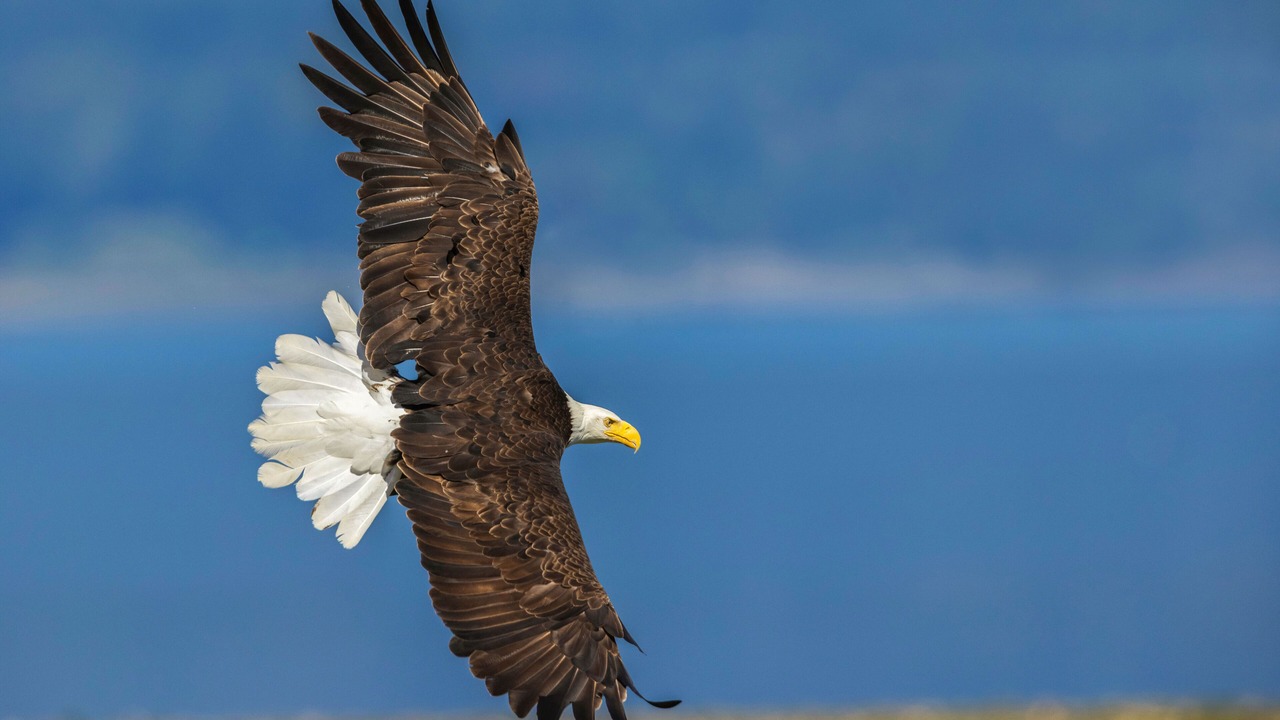 Photo of Others in Brinnon