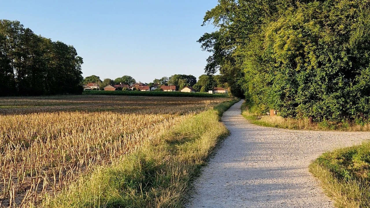 Photo of Others in Prevessin-Moens