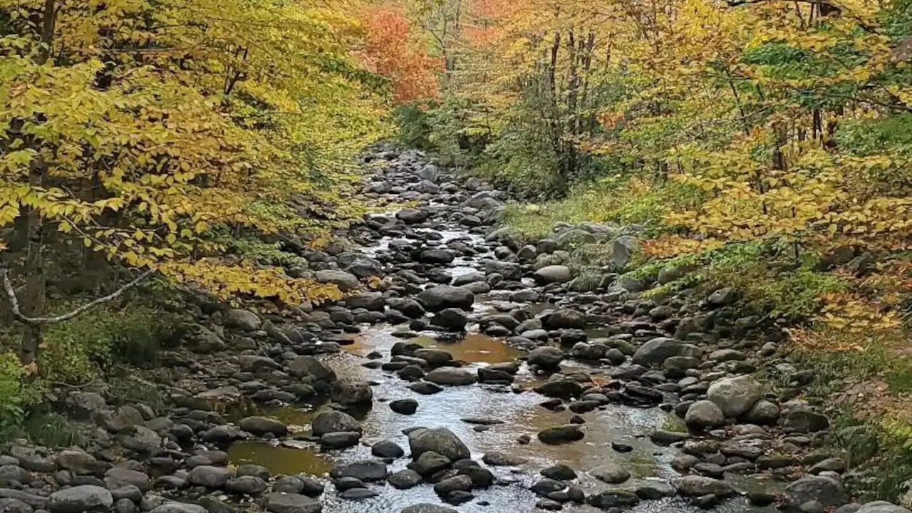 Photo of Others in Sunday River Area