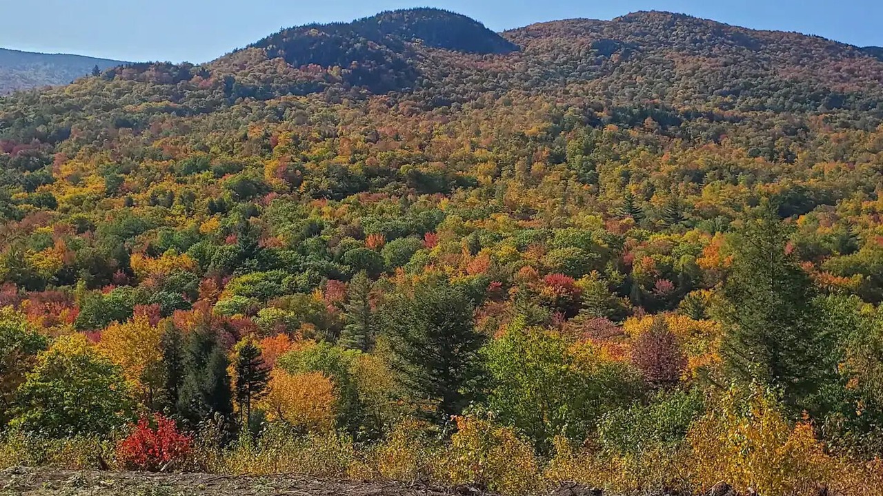 Photo of Others in Sunday River Area