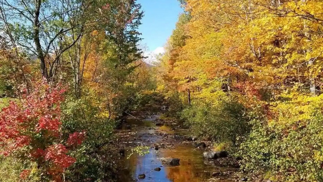 Photo of Others in Sunday River Area