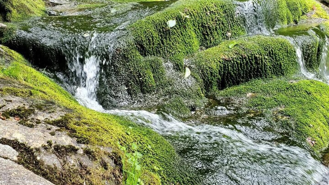 Photo of Others in Sunday River Area