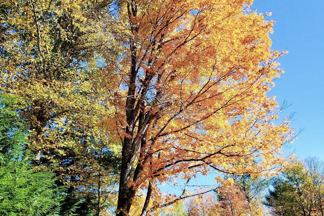 Photo of Others in Sunday River Area