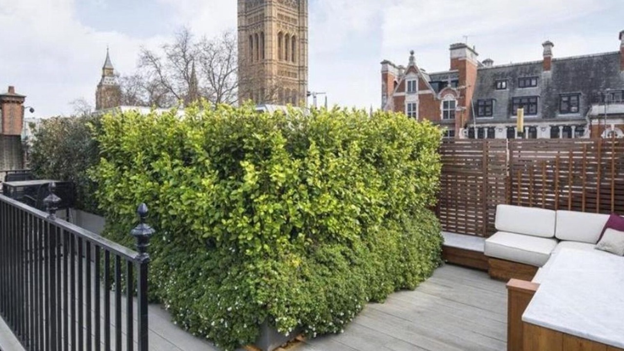 Photo of Outdoor in Westminster