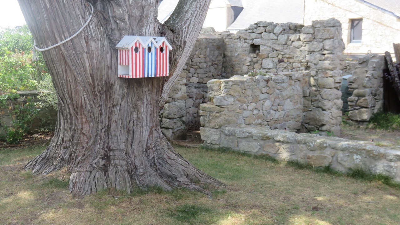 Photo of Outdoor in Batz-sur-Mer