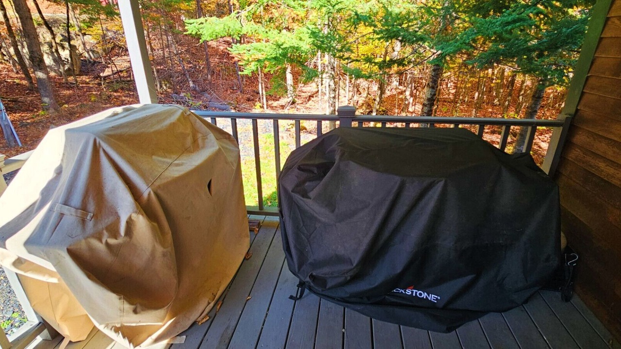 Photo of Others in Beaver Cove