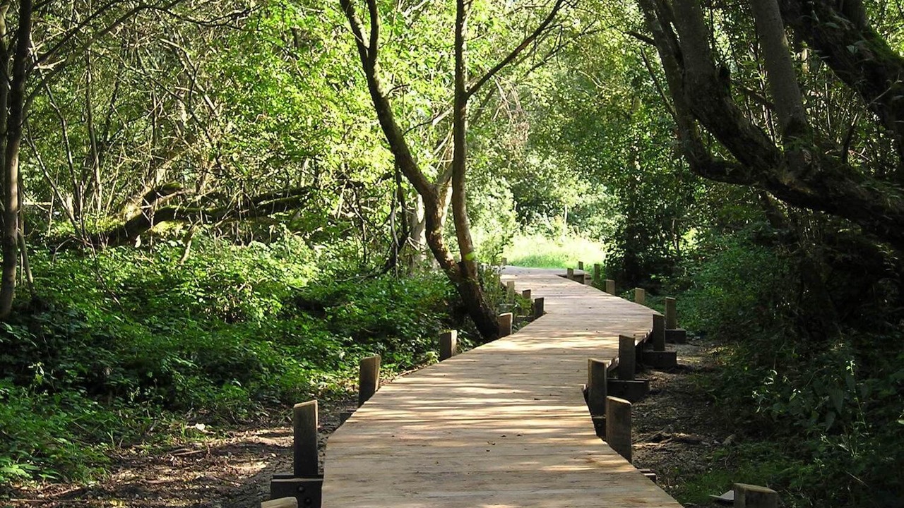 Photo of Others in Condette