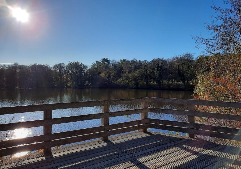 Photo of Others in Condette