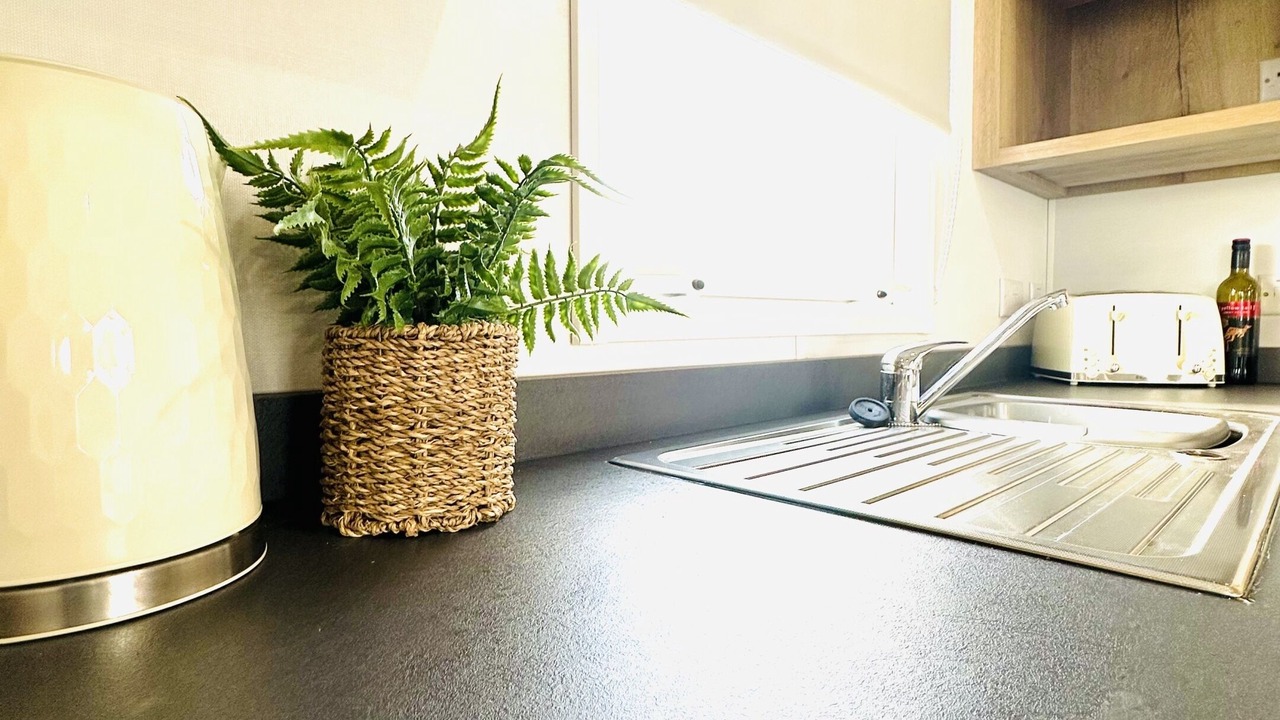 Photo of Others in Cayton Bay