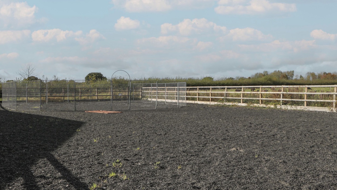 Photo of Others in Mere