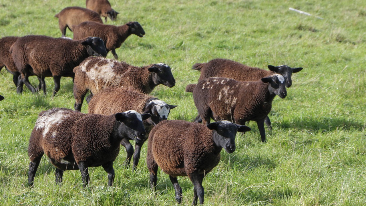 Photo of Others in Mere