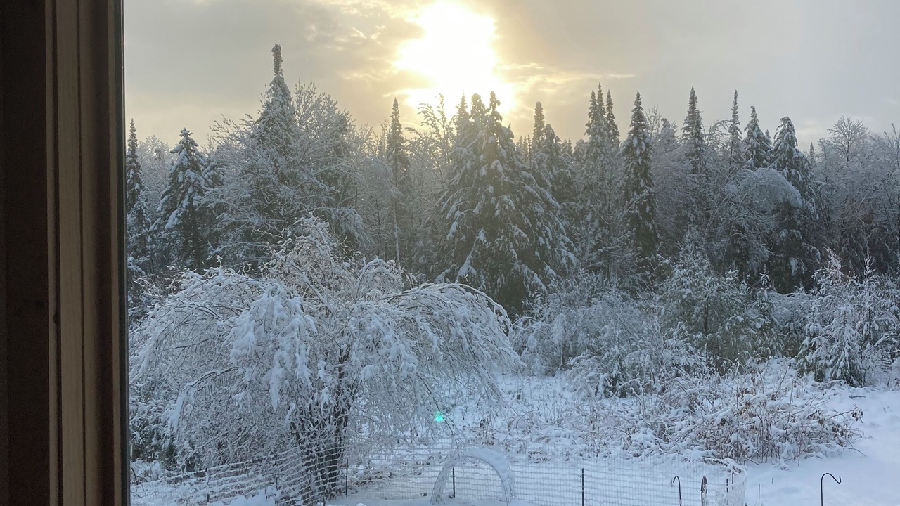 Photo of Others in Morrisville