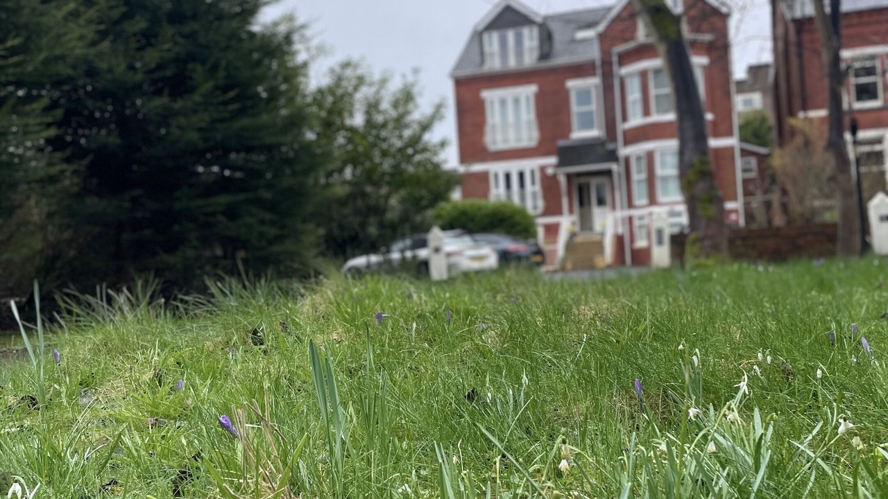 Photo of Outdoor in Birkdale