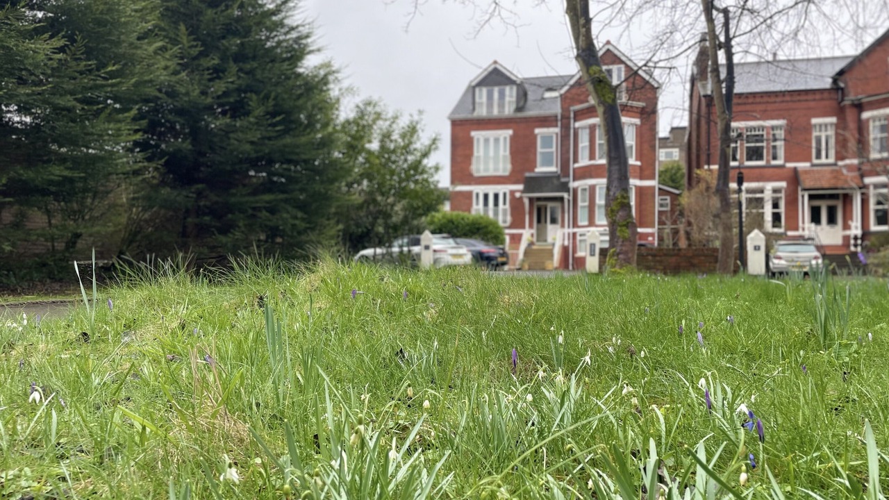 Photo of Outdoor in Birkdale