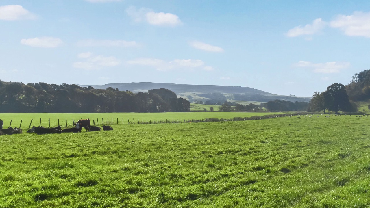 Photo of Others in Slaidburn
