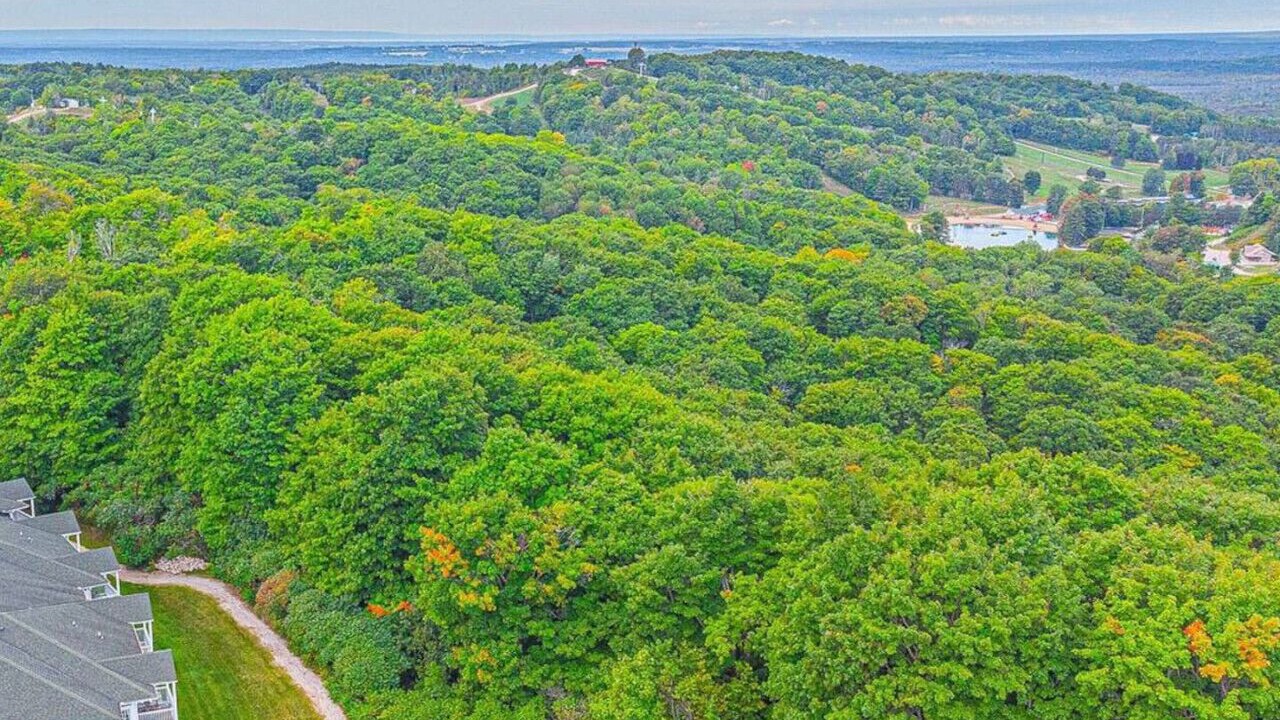 Photo of Outdoor in Oro-Medonte