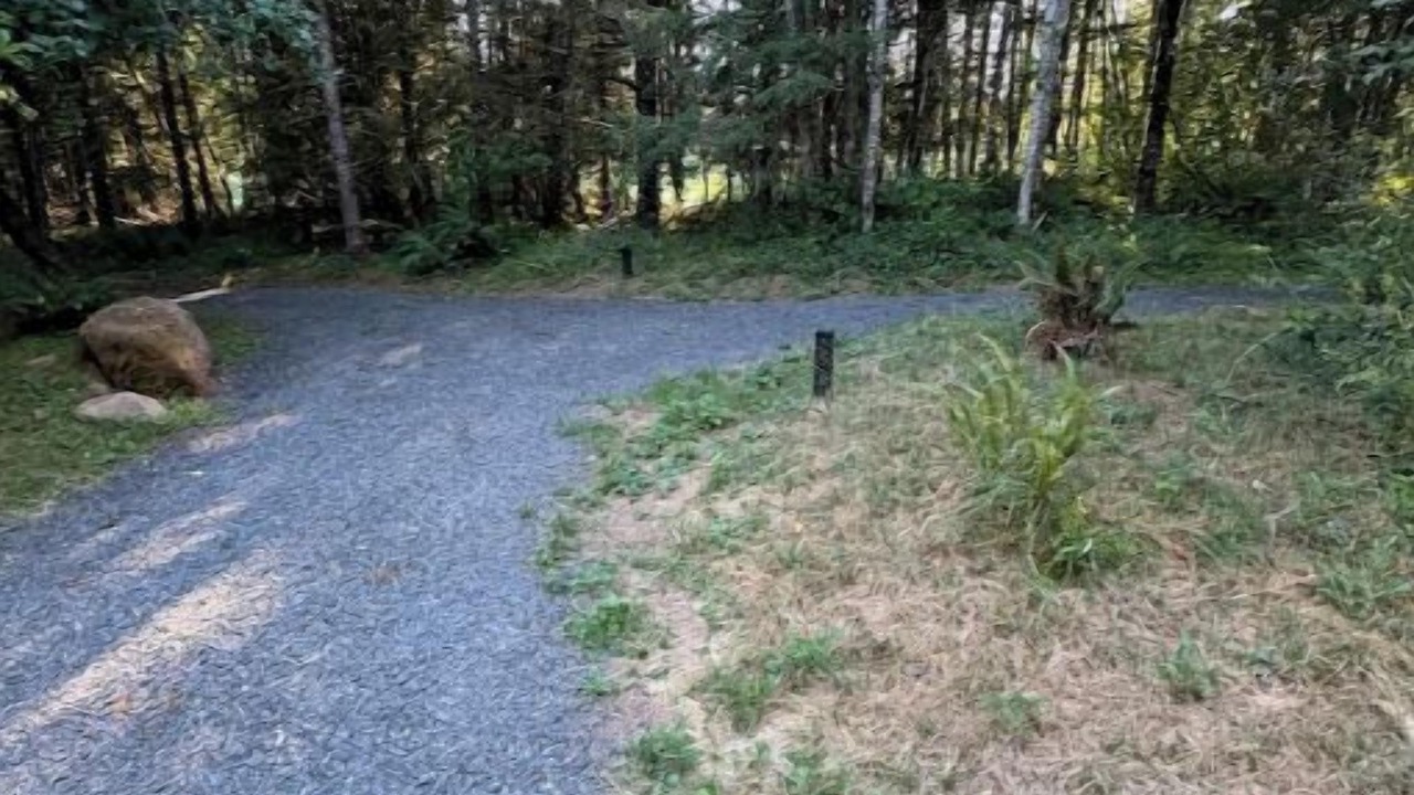 Photo of Outdoor in Yacolt