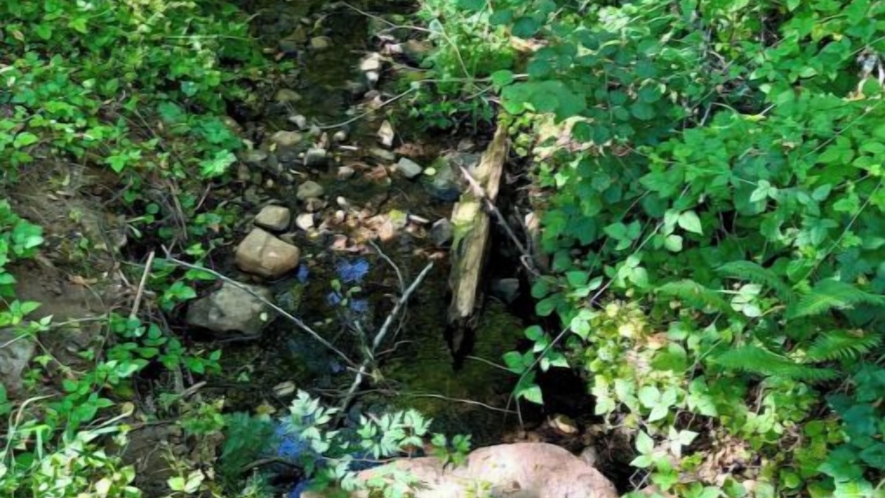 Photo of Others in Yacolt