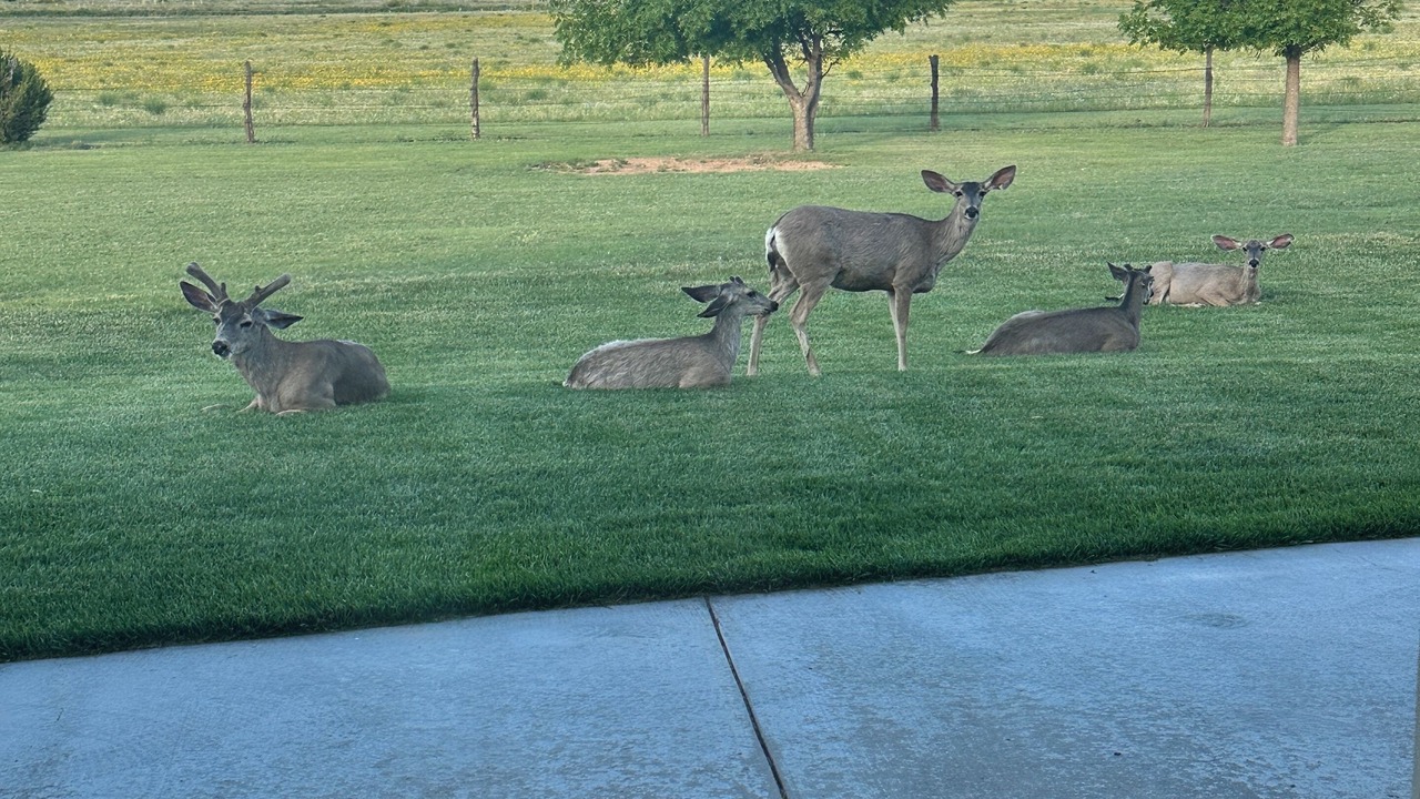 Photo of Others in Canyon