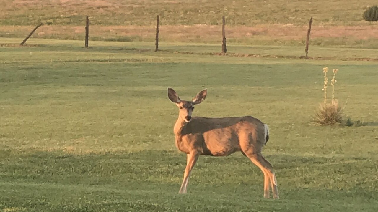 Photo of Others in Canyon
