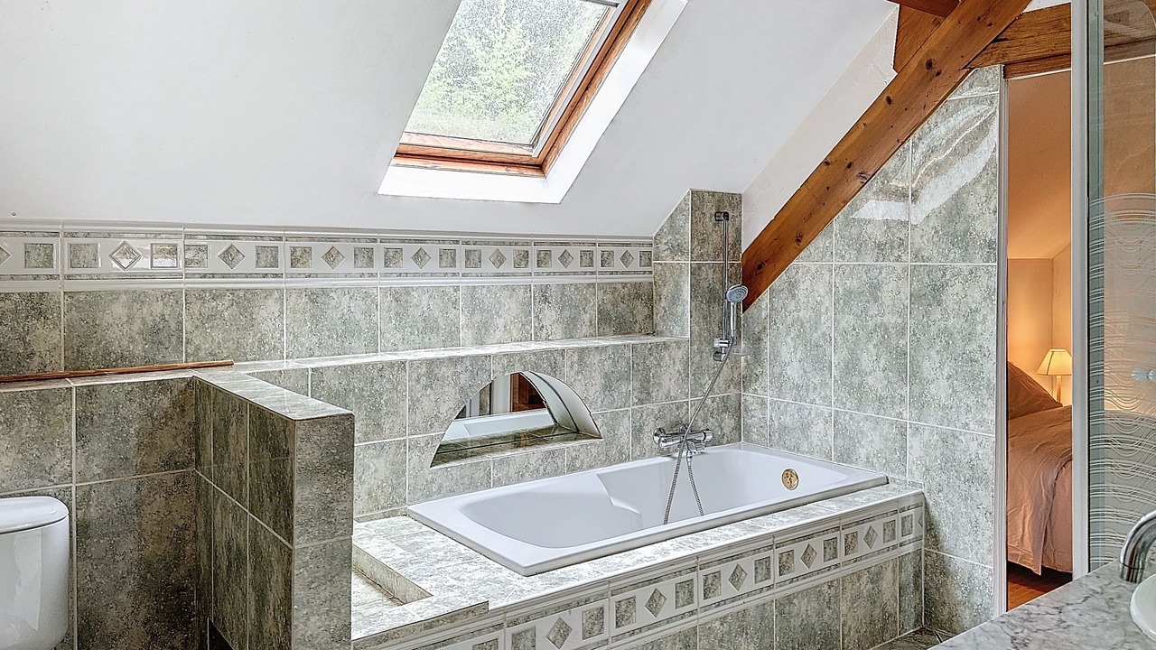 Photo of Bathroom in Pareac