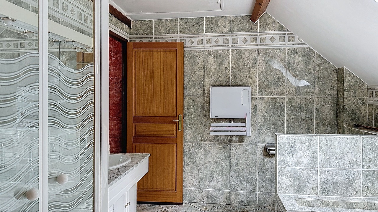 Photo of Bathroom in Pareac