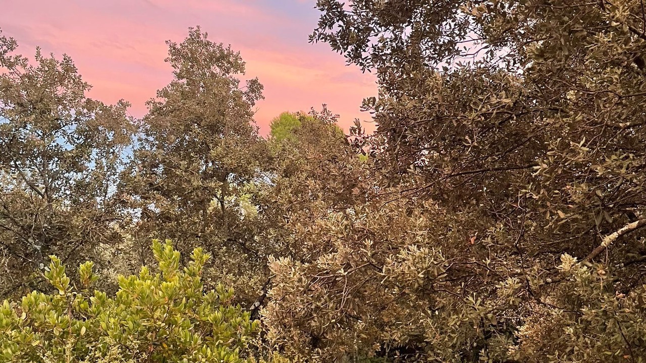 Photo of Others in Garrigues