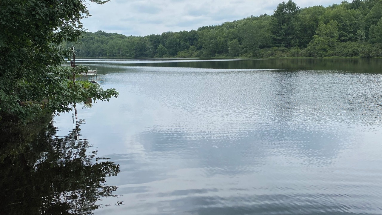 Photo of Others in Swan Lake