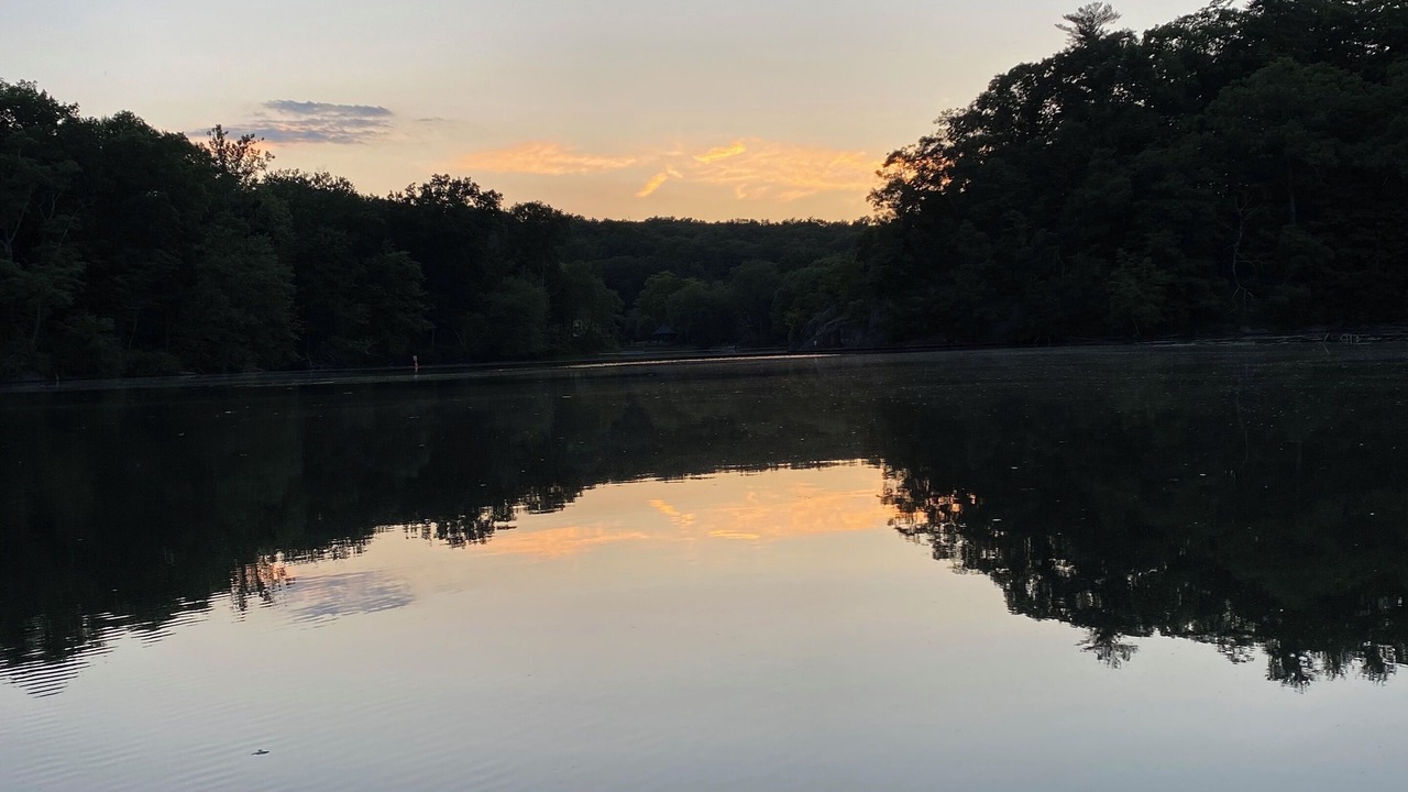 Photo of Others in Swan Lake