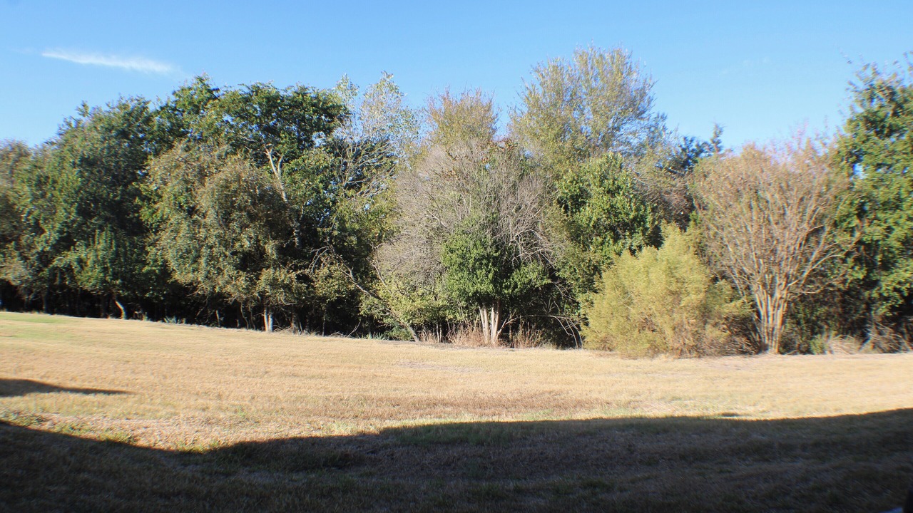 Photo of Others in Salado