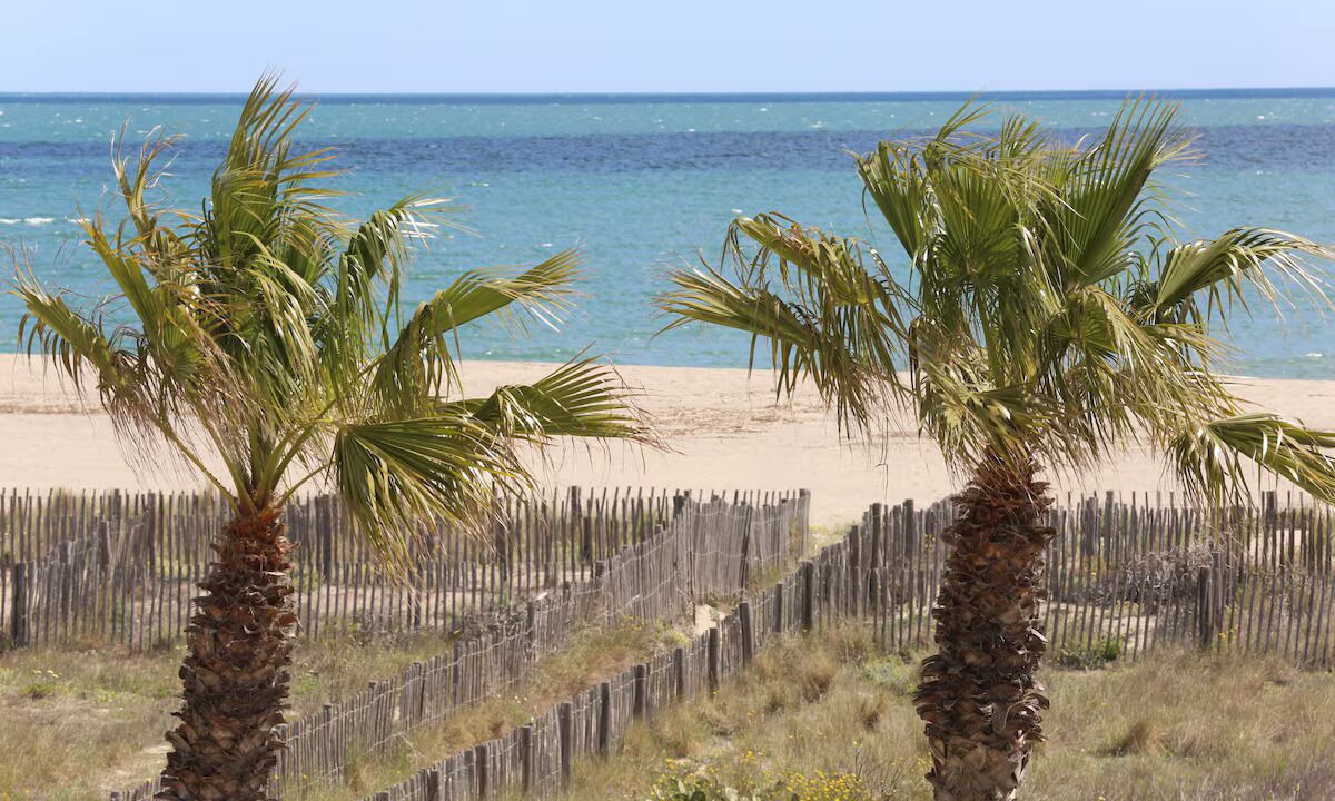 Photo of Others in Saint-Cyprien Plage